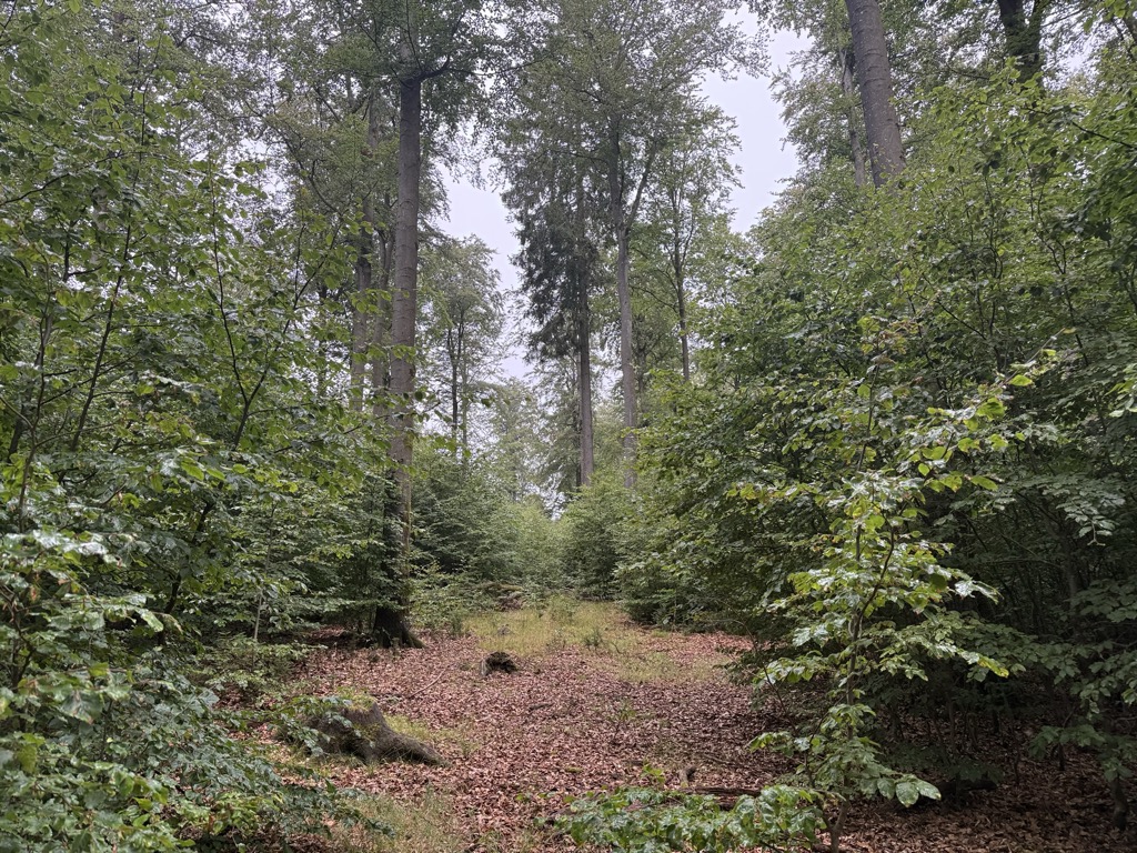 Photo №2 of Große Hohscheid