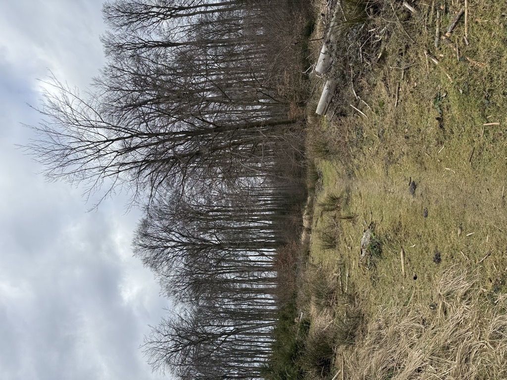 Photo №1 of Großer Gauseköterberg