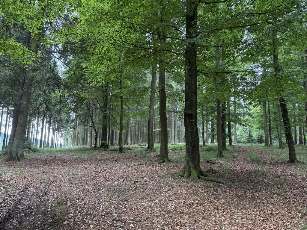 Photo №2 of Großer Hastenberg