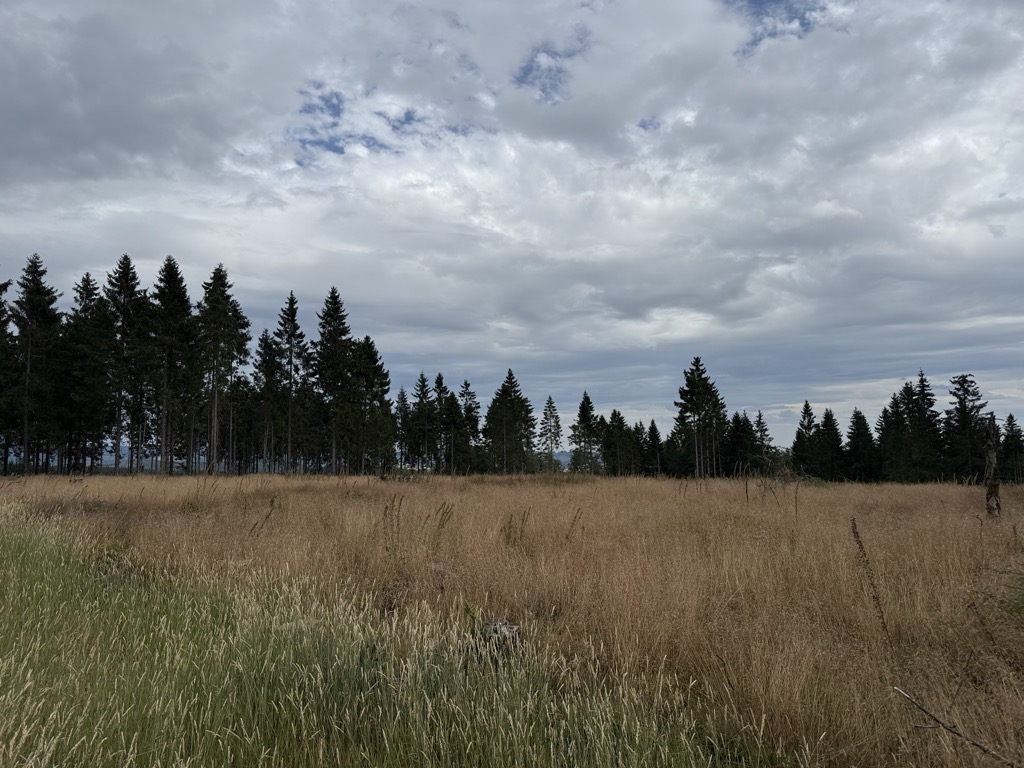 Photo №2 of Großer Kopf