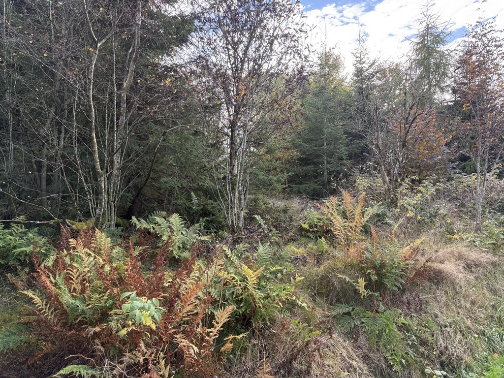 Photo №2 of Großer Saukopf