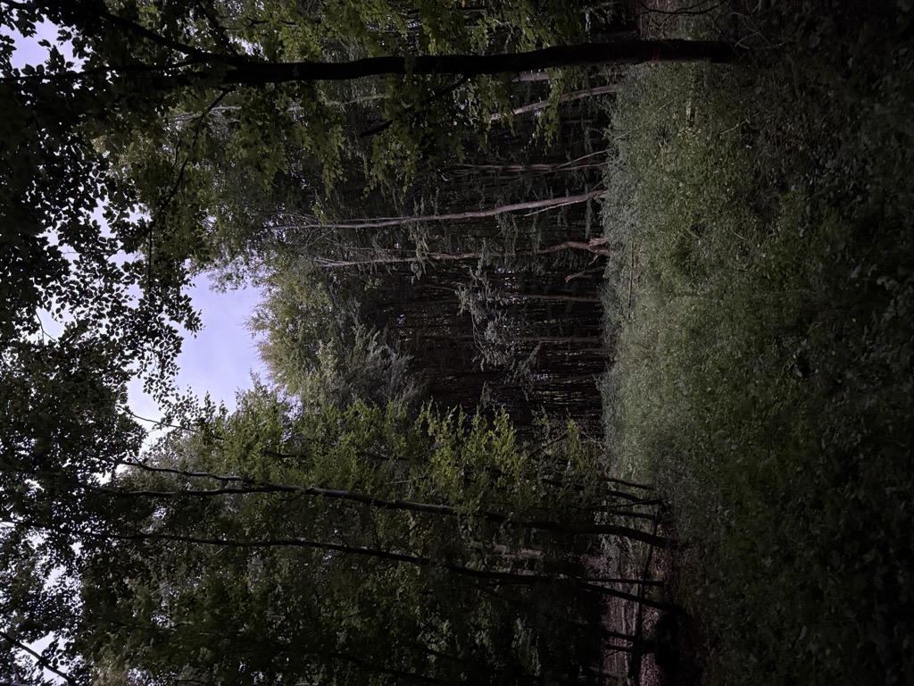 Photo №2 of Großer Wolfsberg