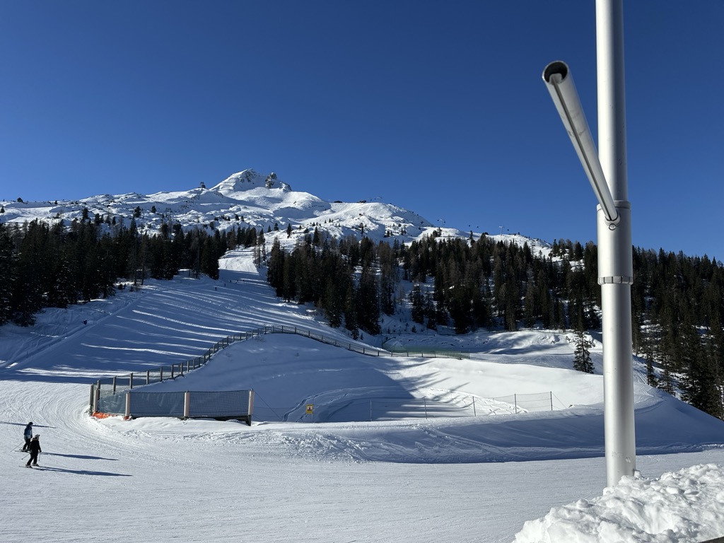 grubigalm