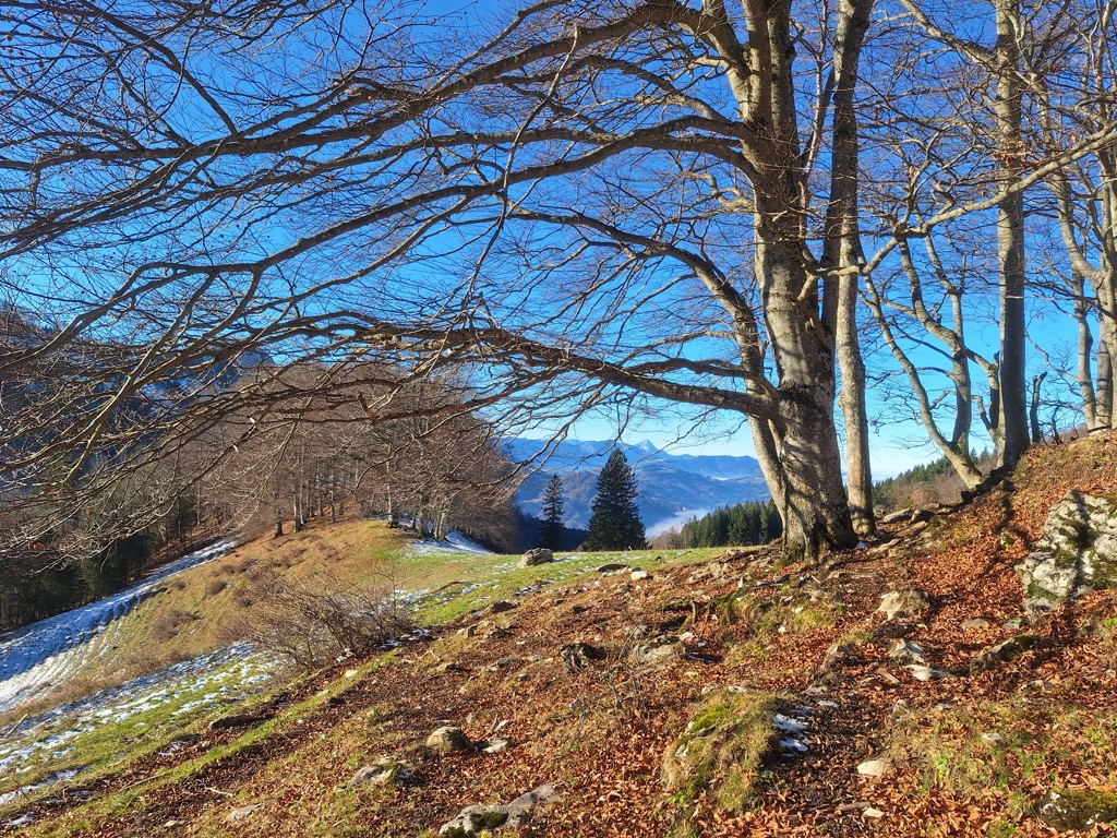 grunburger-hutte-1