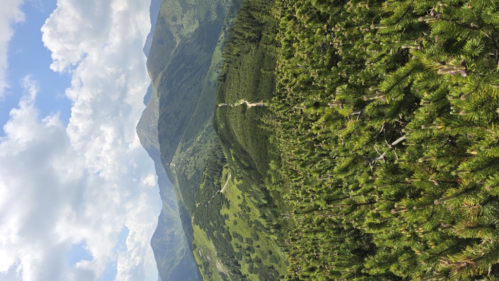 Photo №1 of Grześ / Lúčna