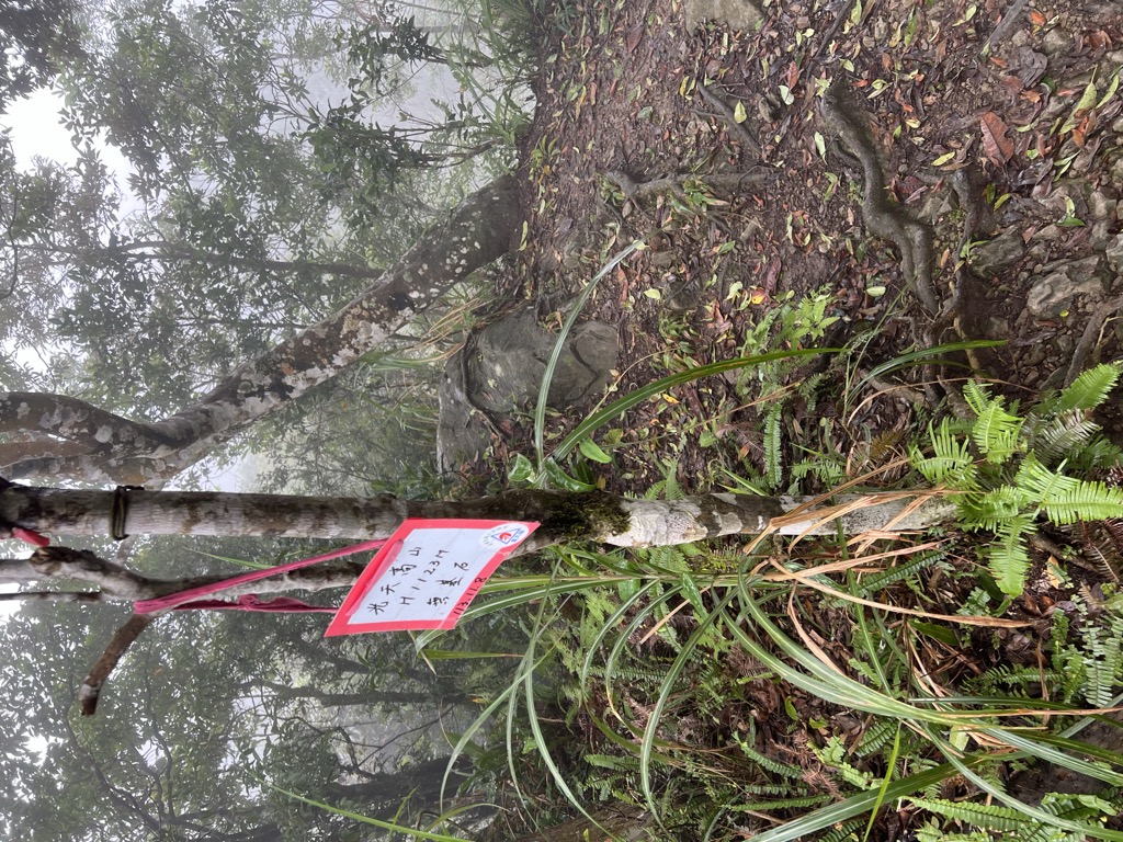 Photo №3 of Guangtiangaoshan