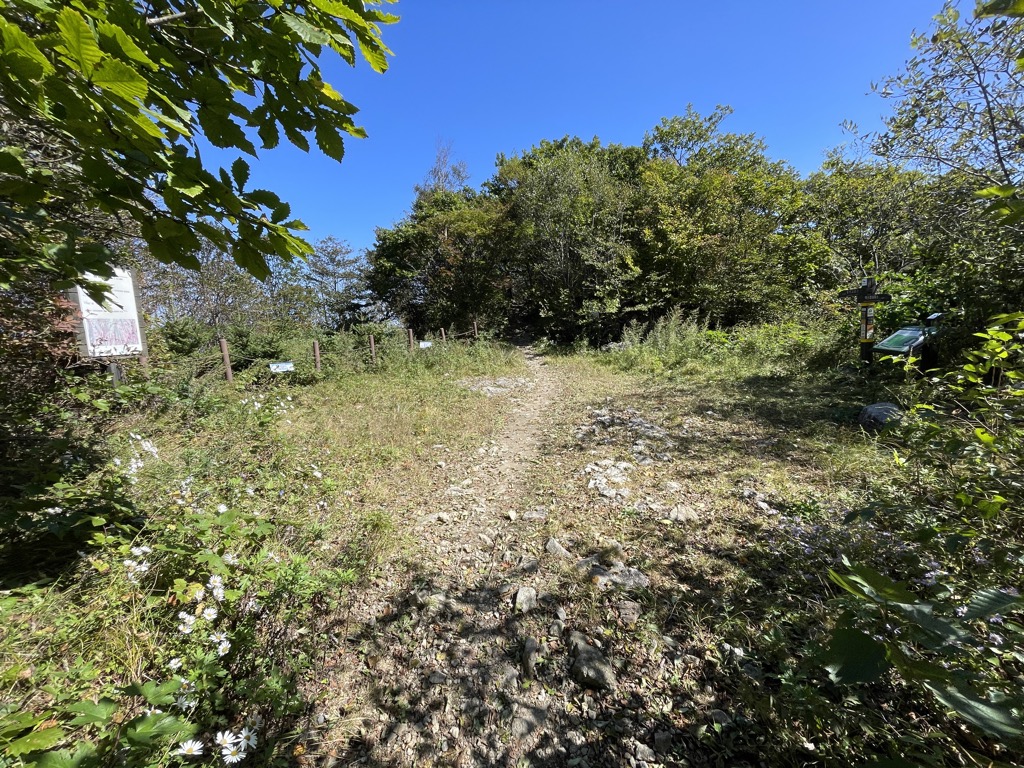 Photo №2 of Mareunjae
