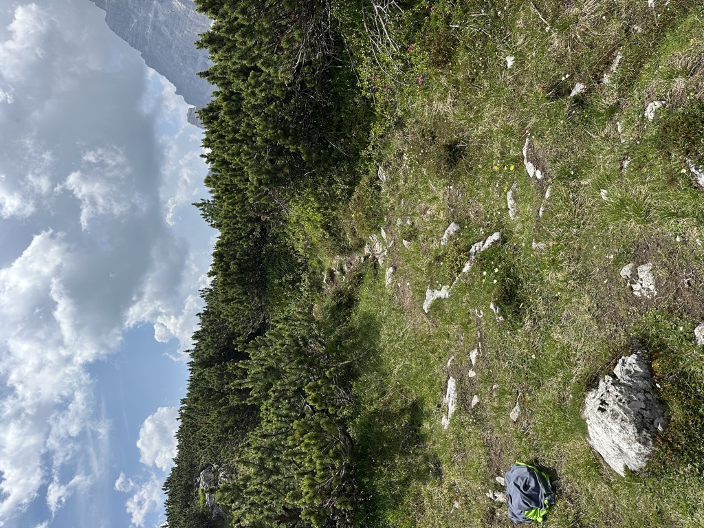 Photo №2 of Guglia Giuliana