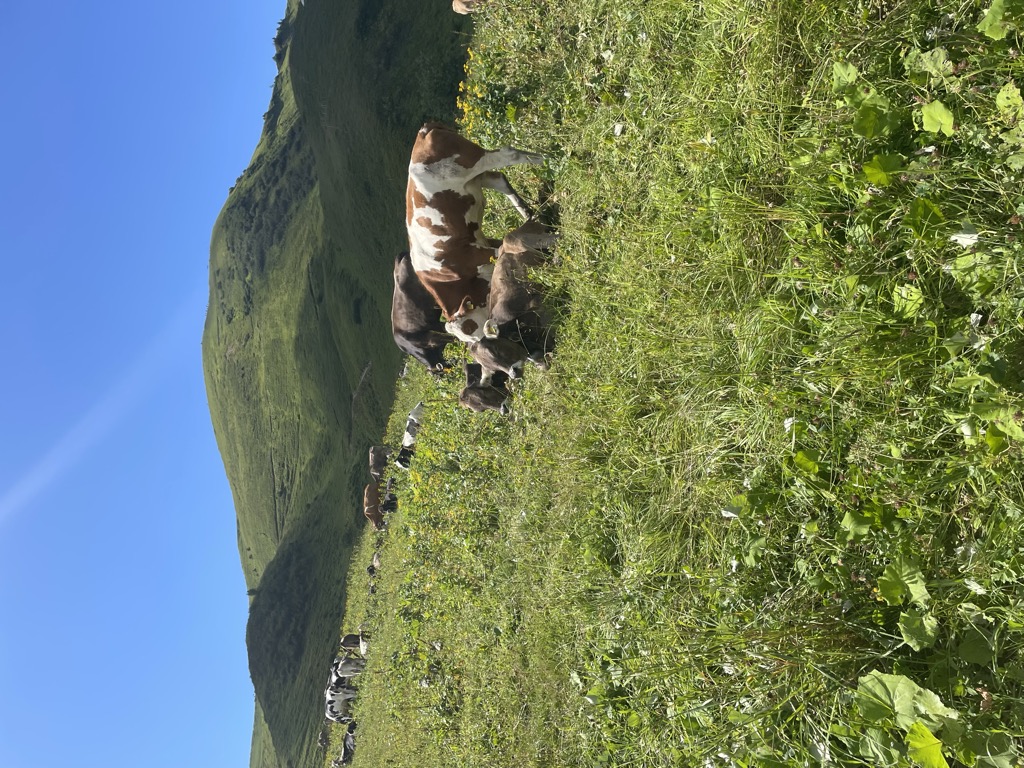 Photo №2 of Gundsattel