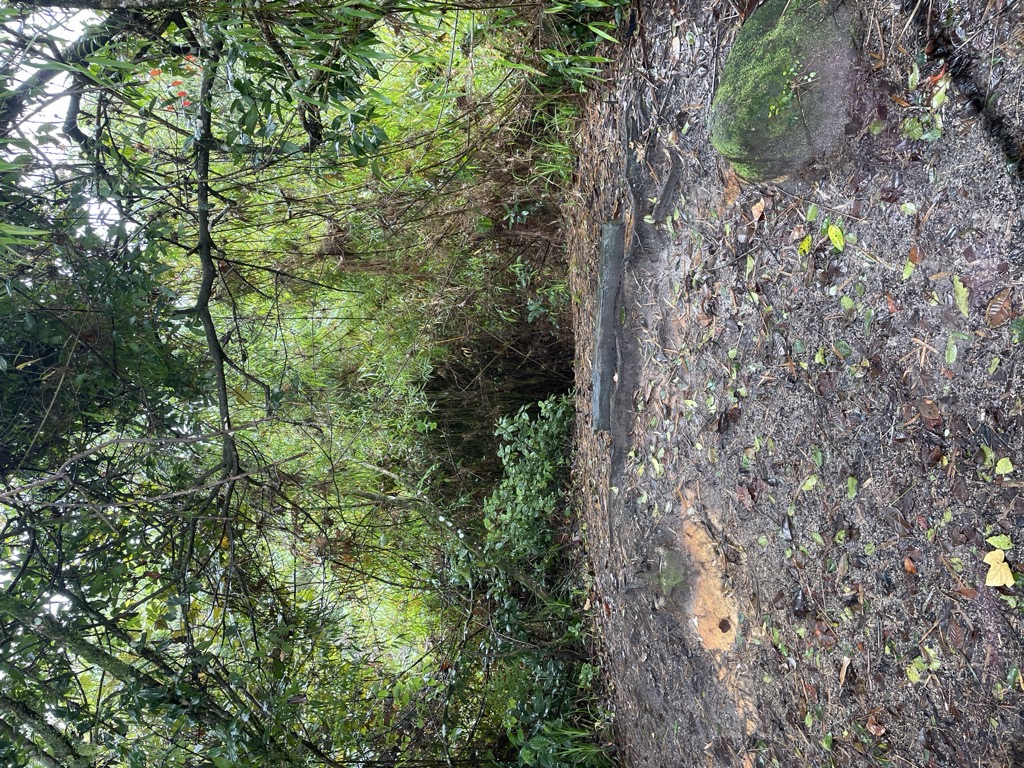 Photo №1 of Gunung Berembun