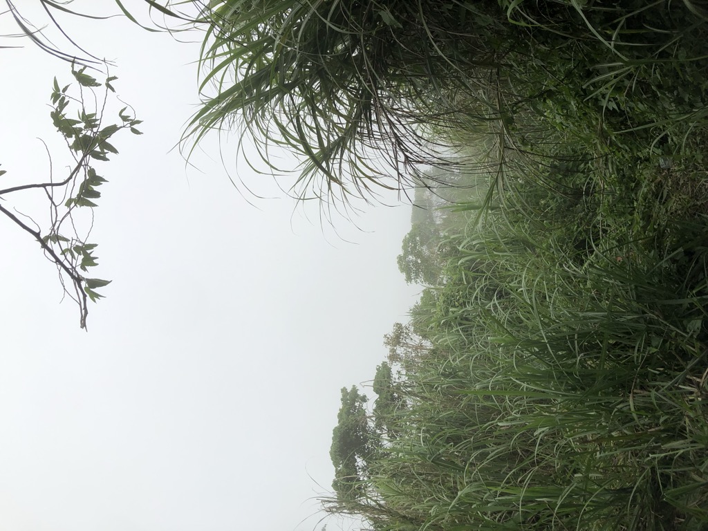 Photo №1 of Gunung Empung