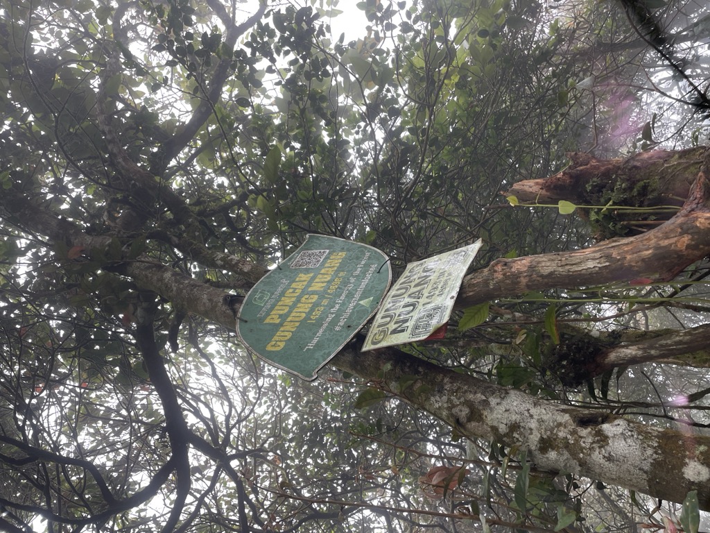 Photo №1 of Gunung Nuang