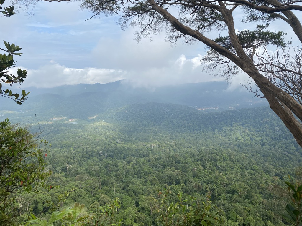 Photo №2 of Gunung Panti Barat