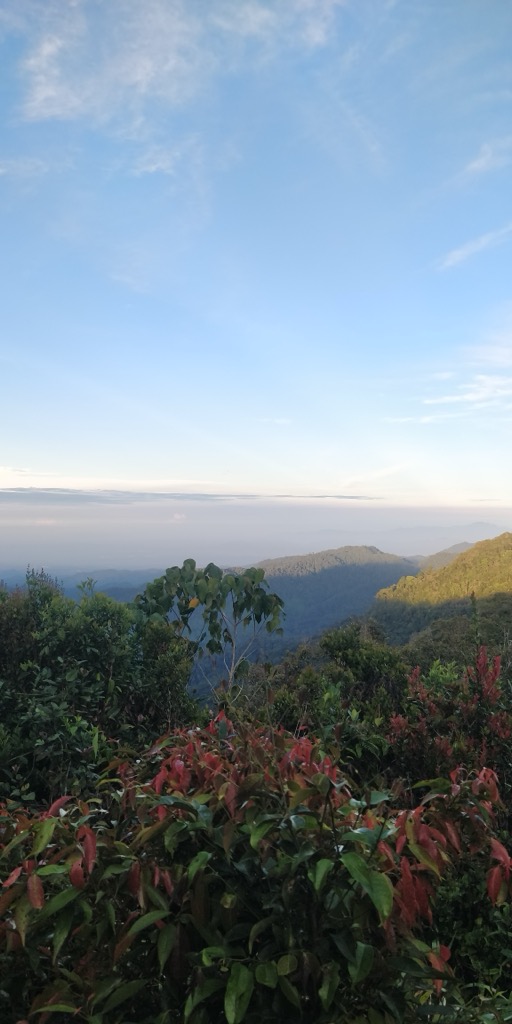 Photo №2 of Gunung Perdah