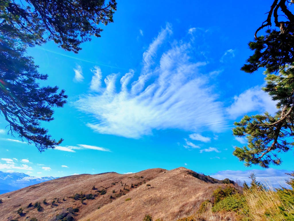 Photo №1 of Gvirgvina