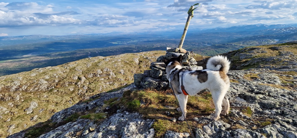 Photo №1 of Gynneldfjellet