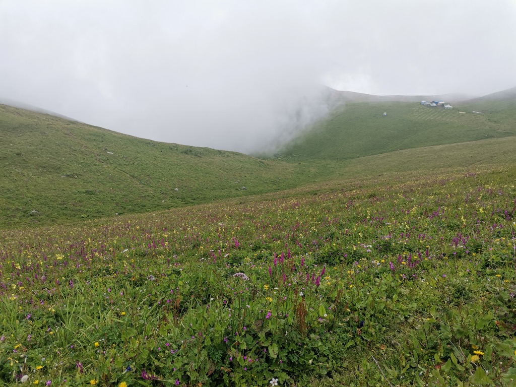 Photo №2 of Hēi Lóng Chí