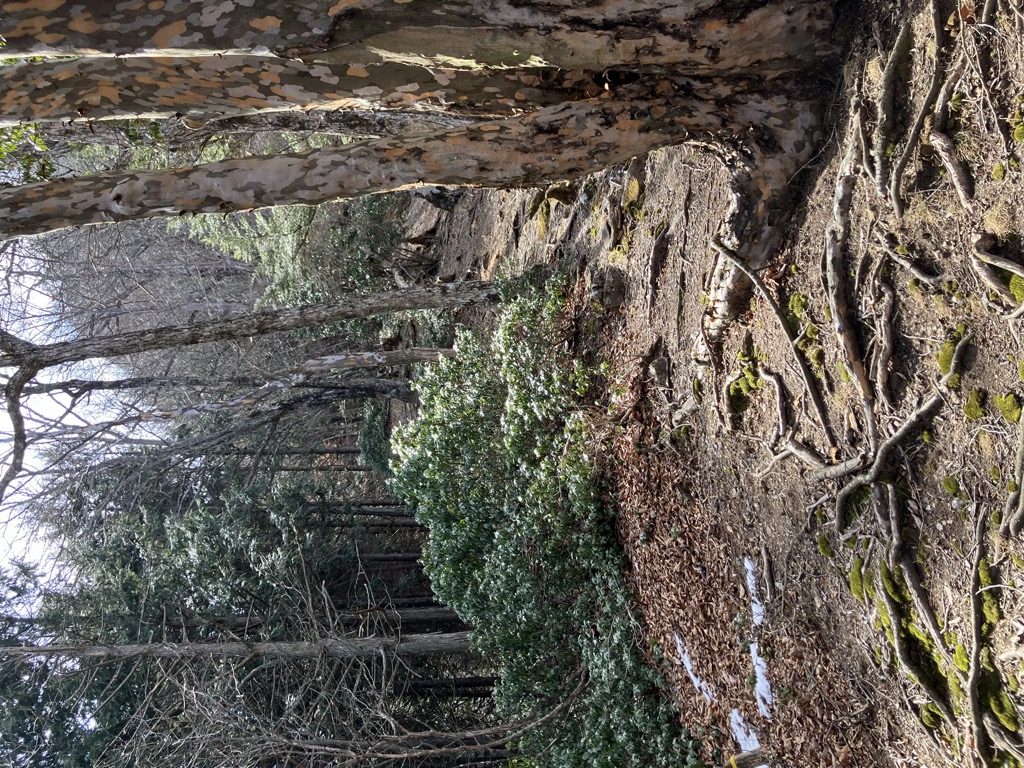 Photo №1 of Hōraisan