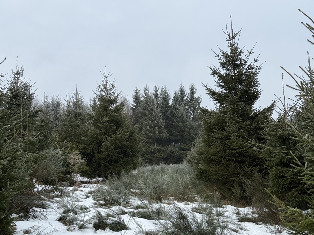 Photo №2 of Hackelberg