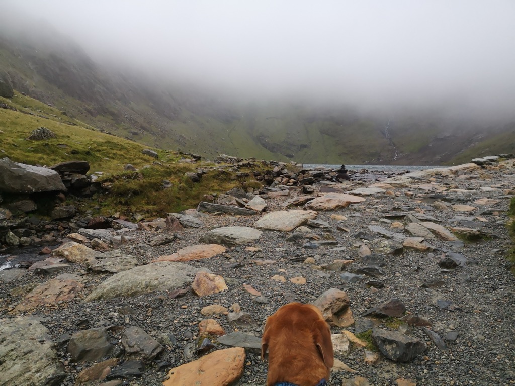 Photo №4 of Hafod Eryri Summit Visitor Centre