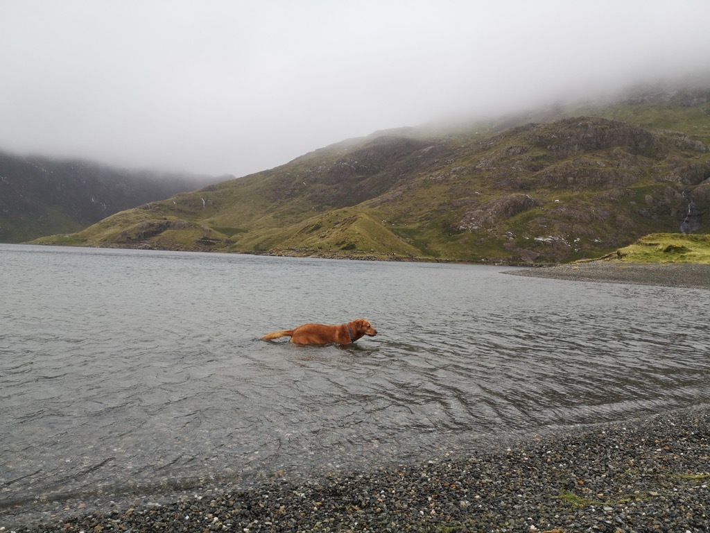 Photo №2 of Hafod Eryri Summit Visitor Centre