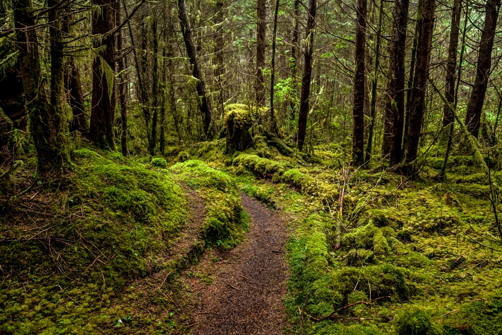 Nang Xaldangaas Heritage Site and Conservancy, British Columbia