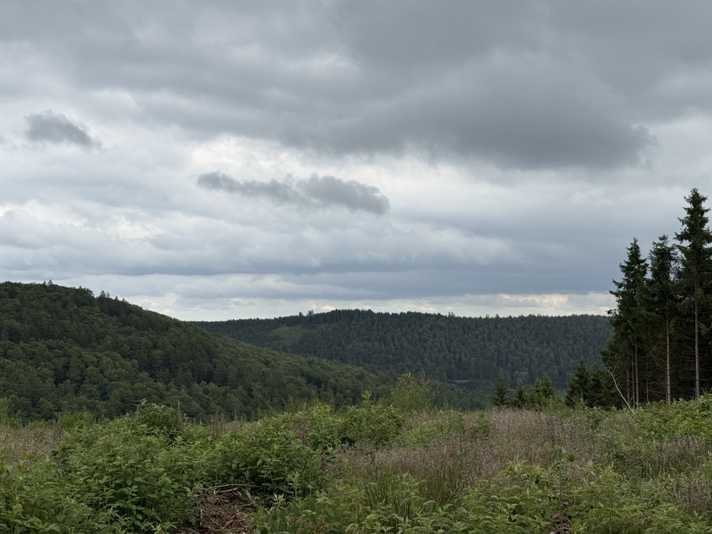 Photo №2 of Hallohr