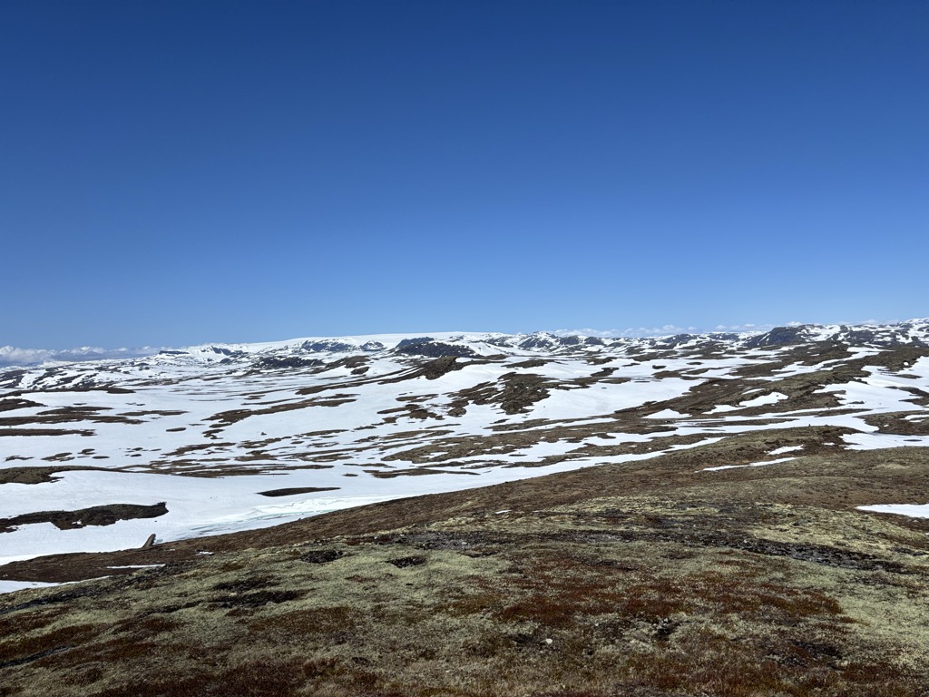 Photo №1 of Halnekollen