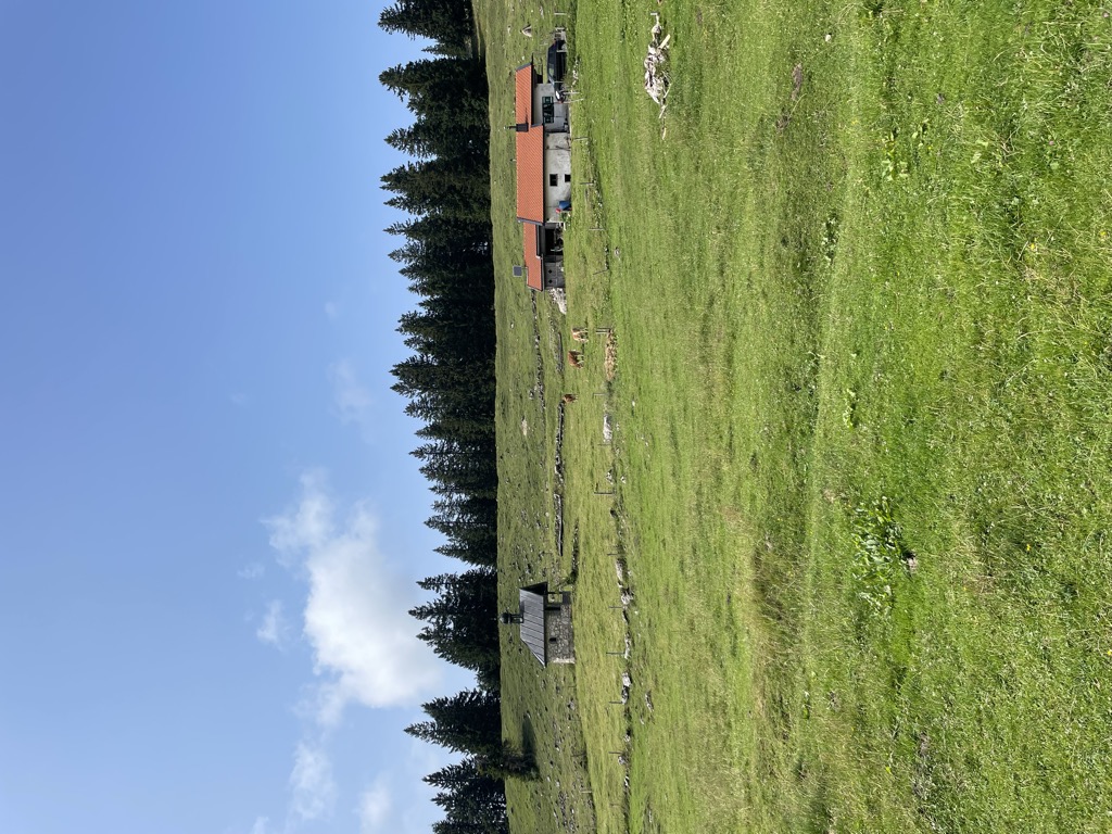 hambergerkaser