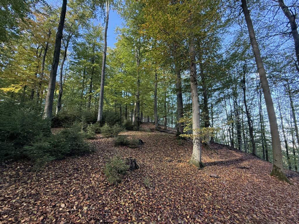 Photo №1 of Hangstein