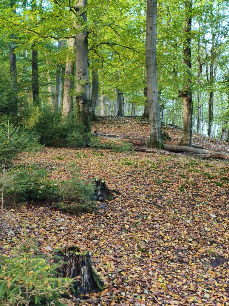 Photo №2 of Hangstein