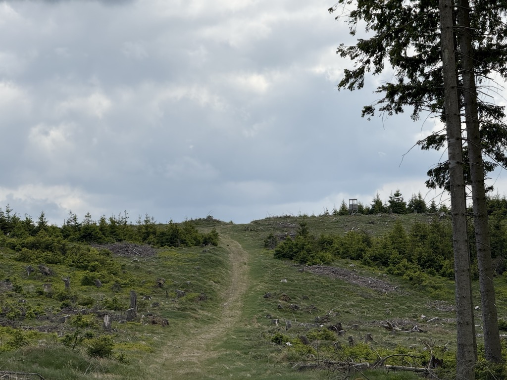 Photo №1 of Hasselrücken