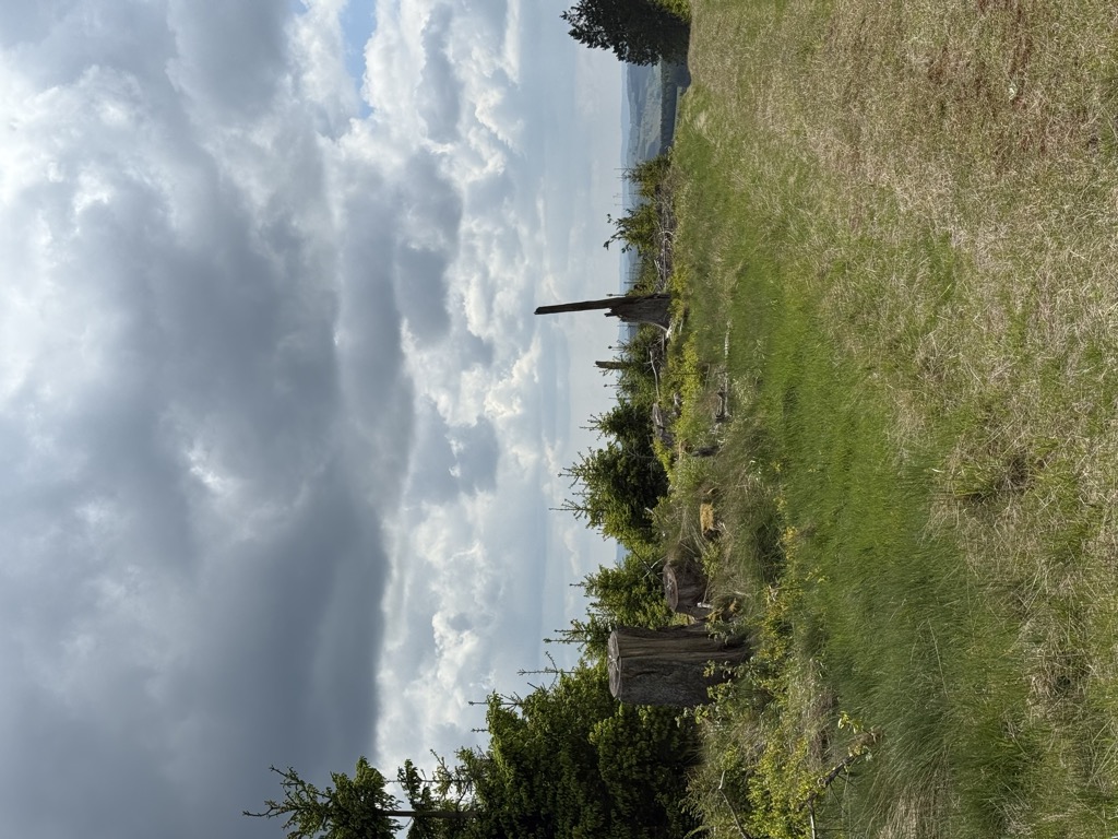 Photo №2 of Hasselrücken