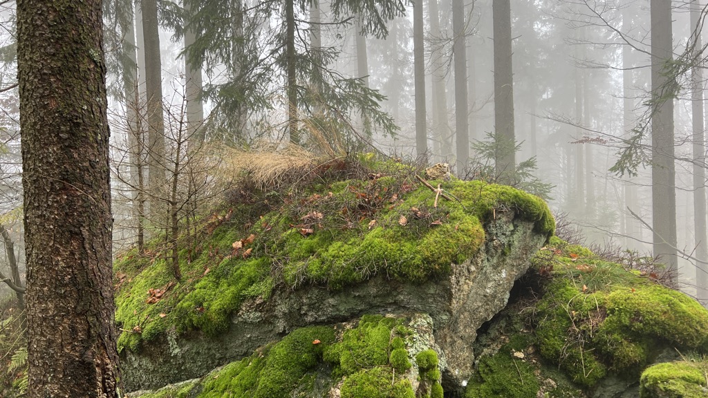 Photo №1 of Haubenberg