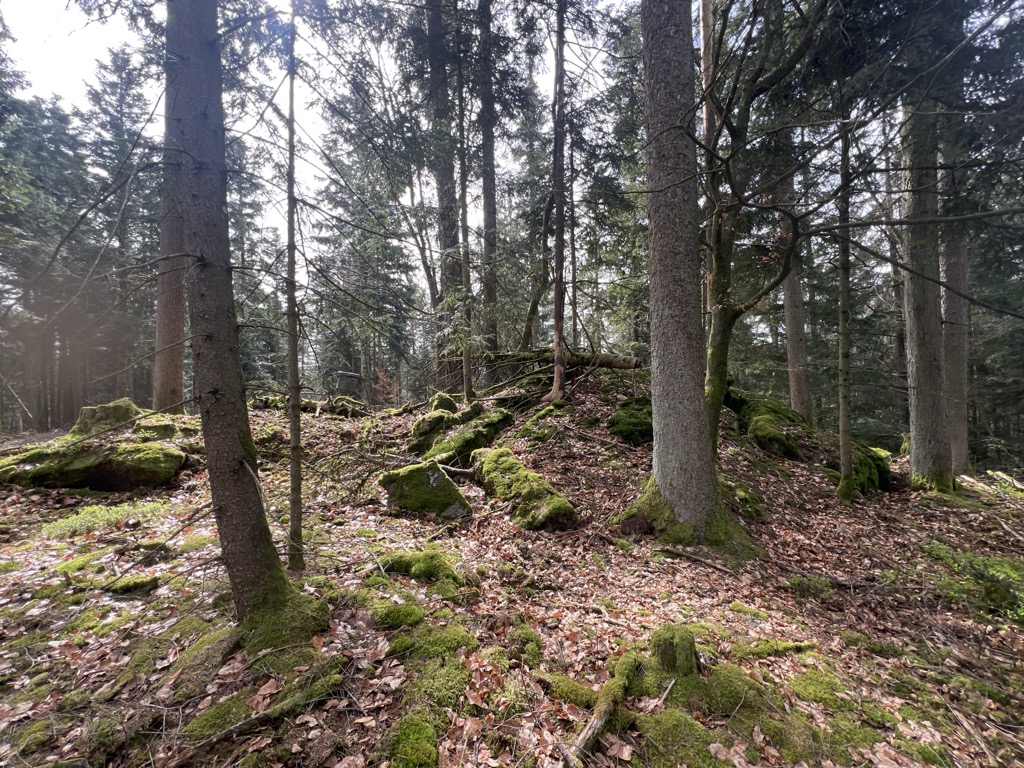 Photo №2 of Hauzenberg