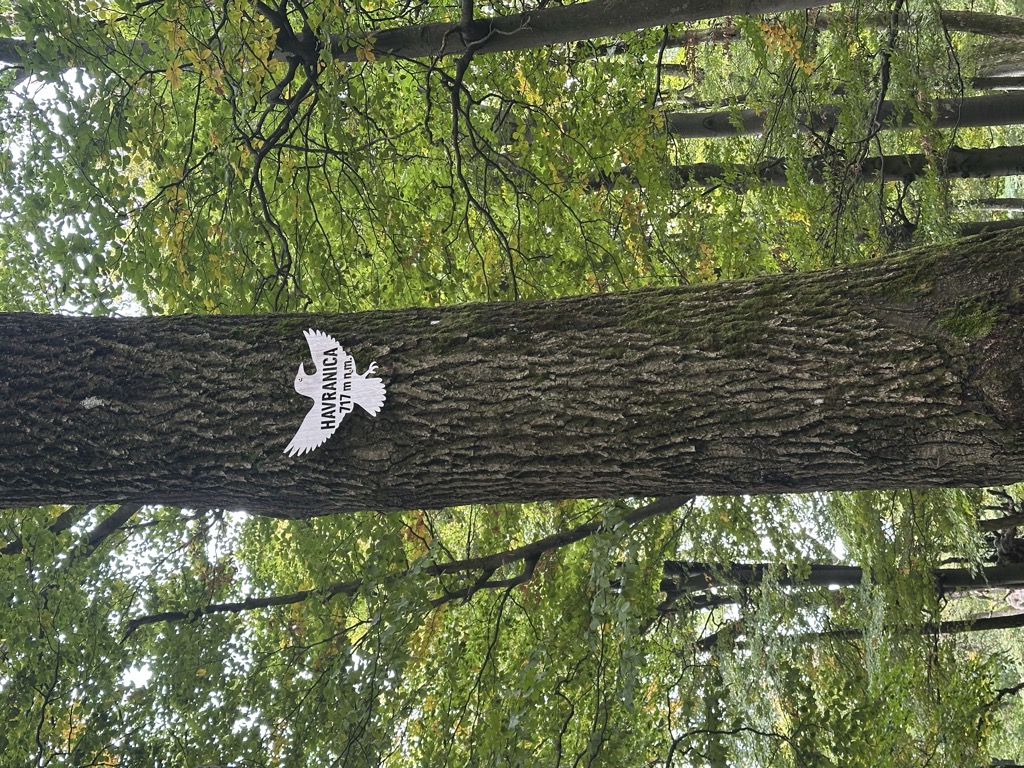 Photo №1 of Havranica