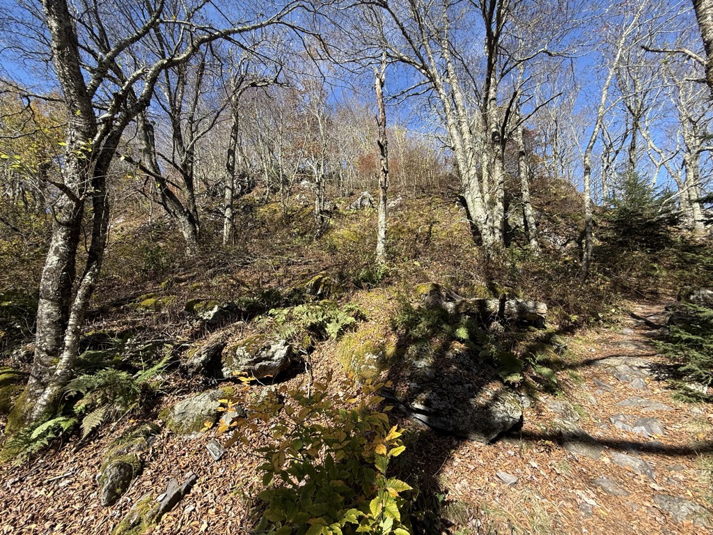 Photo №1 of Haw Orchard Mountain