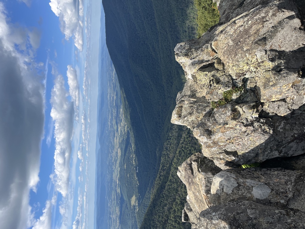 Photo №1 of Hawksbill