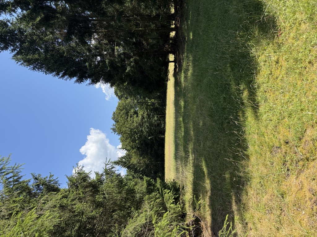 Photo №2 of Heckekopf