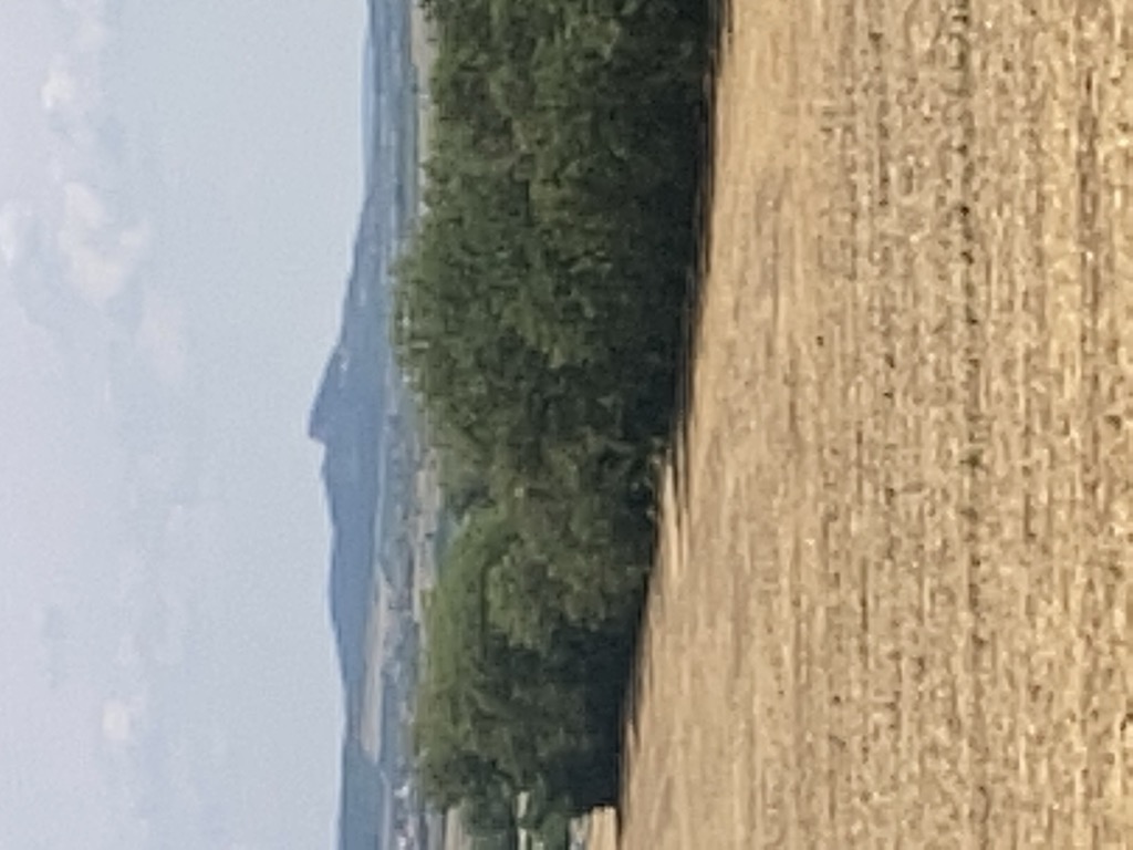 Photo №3 of Hegyestű