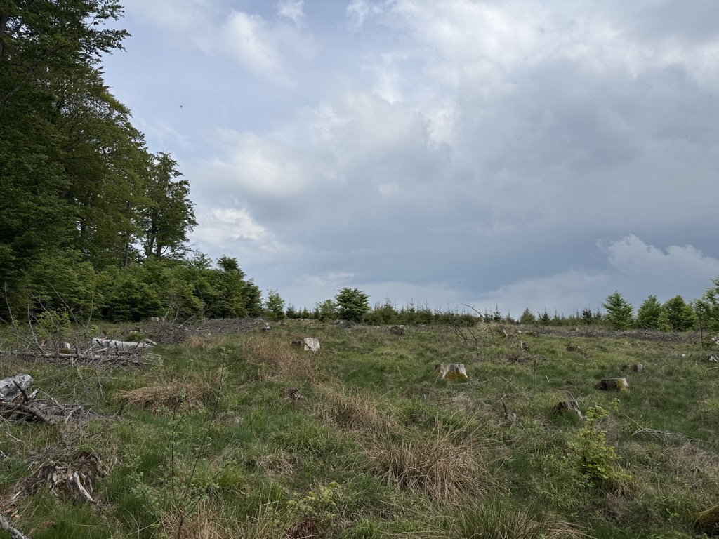 Photo №2 of Heidberg