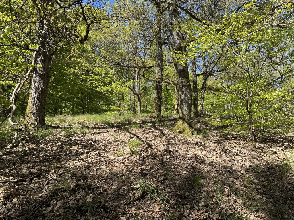 Photo №2 of Heideköpfe