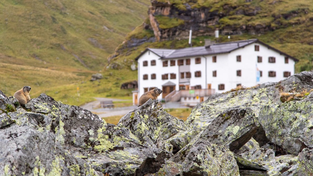 heidelberger-hutte