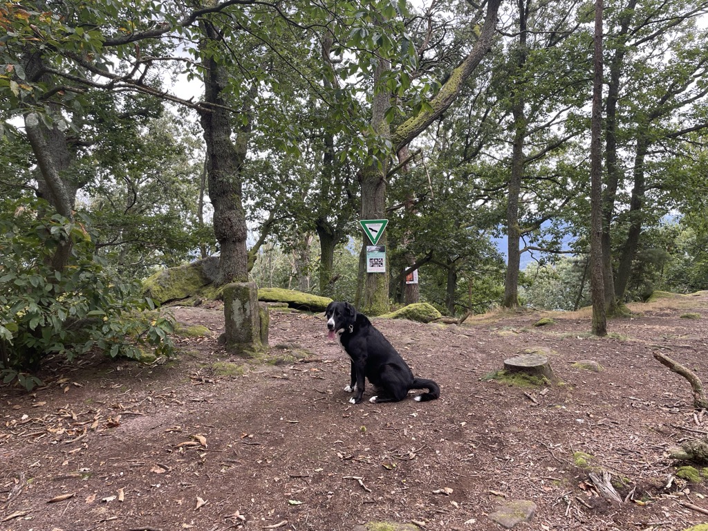 Photo №4 of Heidenfels