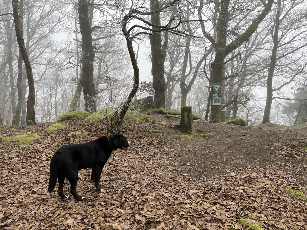 Photo №3 of Heidenfels