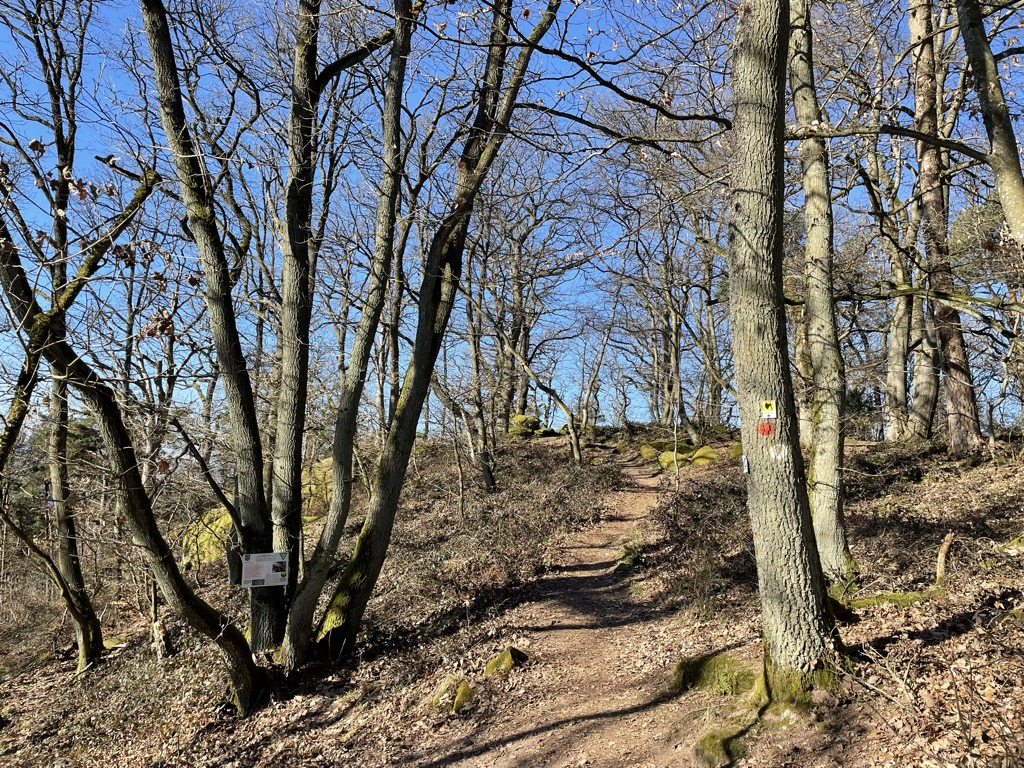 Photo №2 of Heidenfels