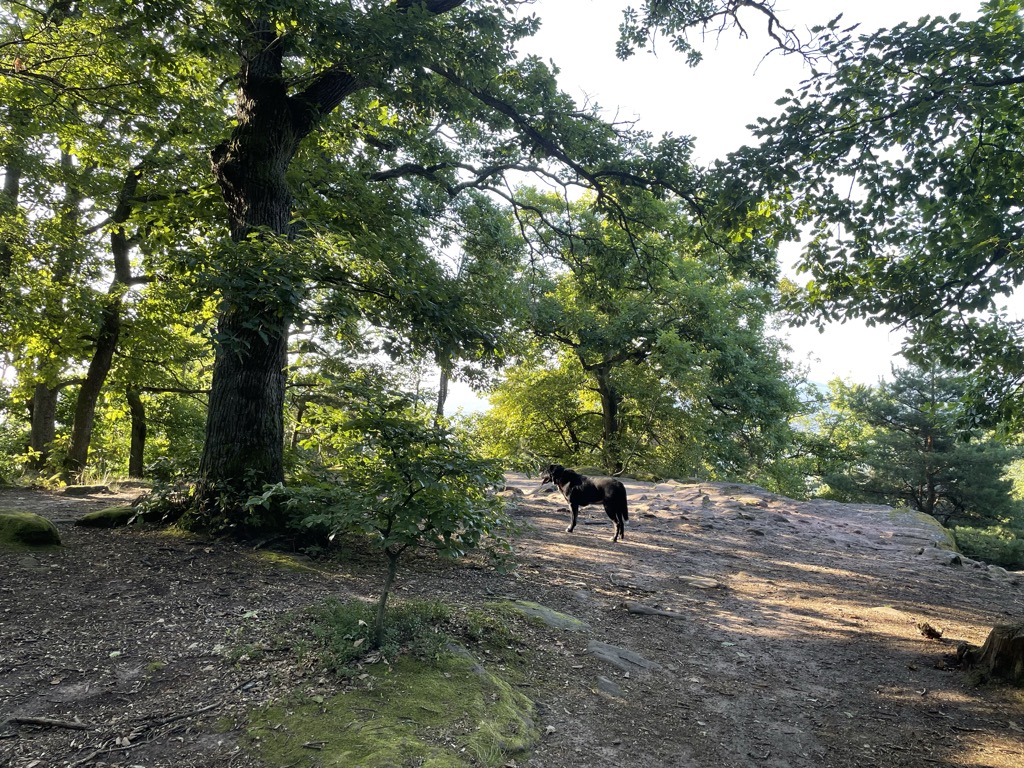 Photo №1 of Heidenfels