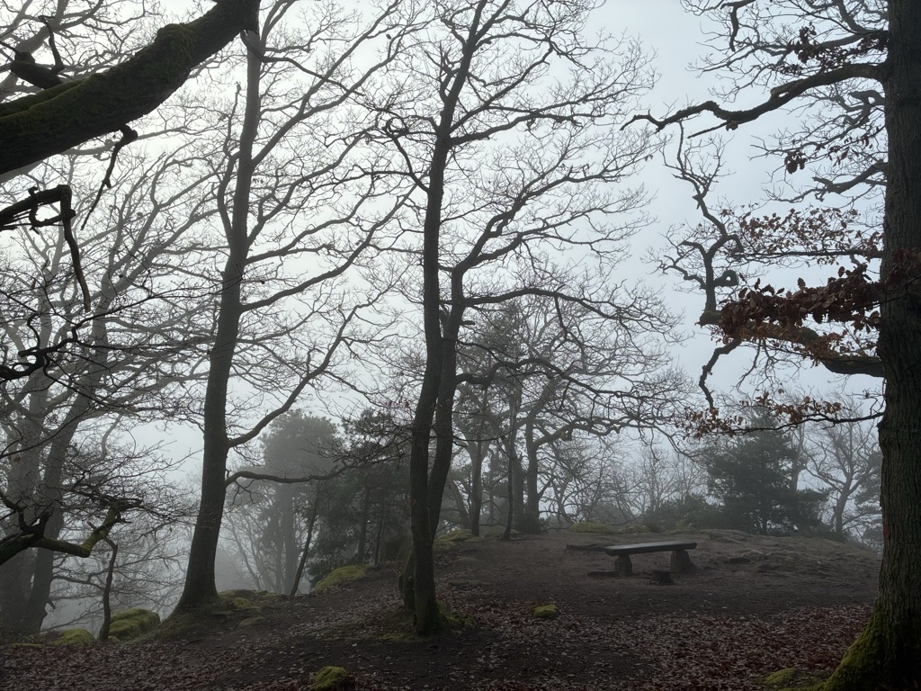 Photo №3 of Heidenfels