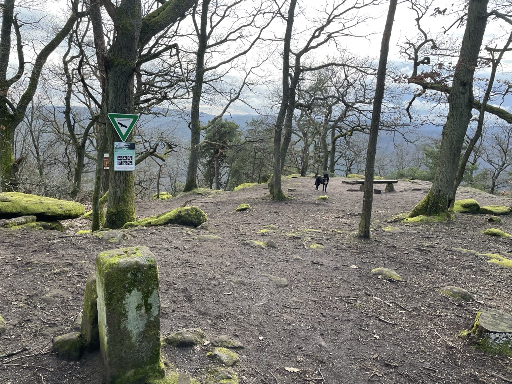 Photo №5 of Heidenfels