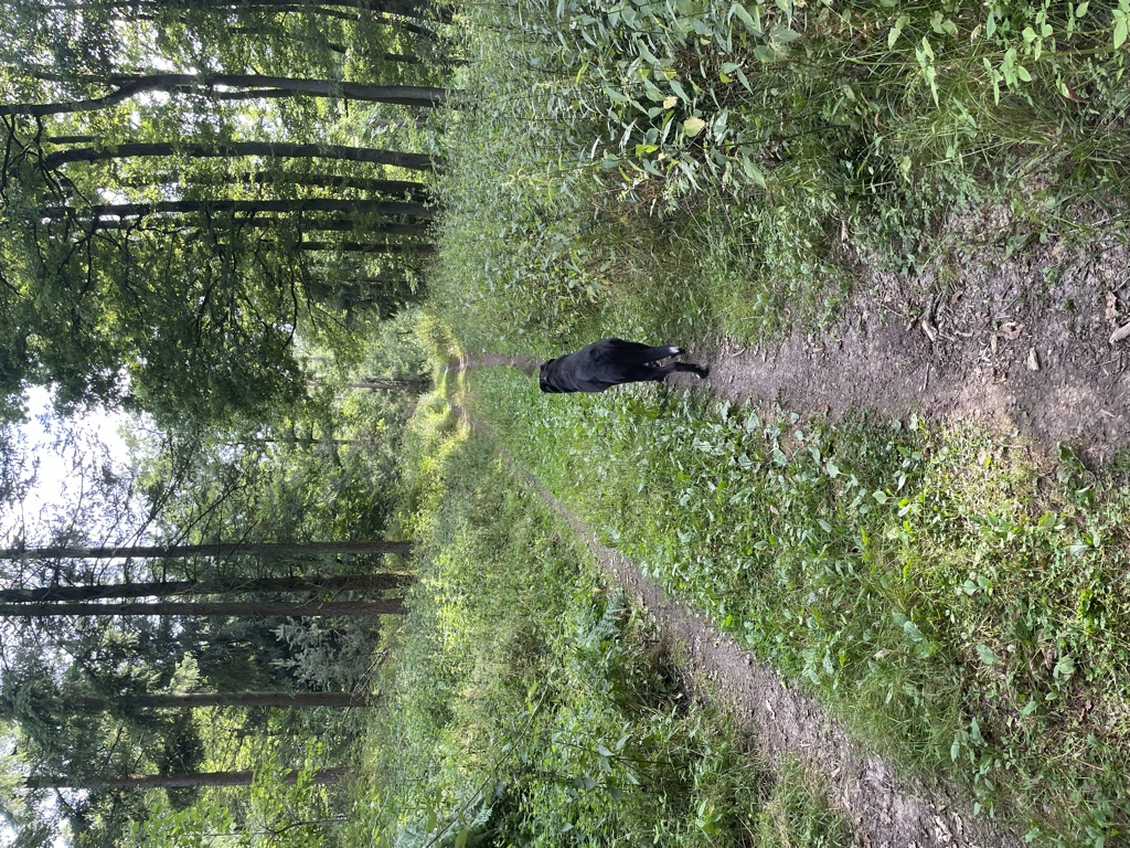 Photo №1 of Heidkopf